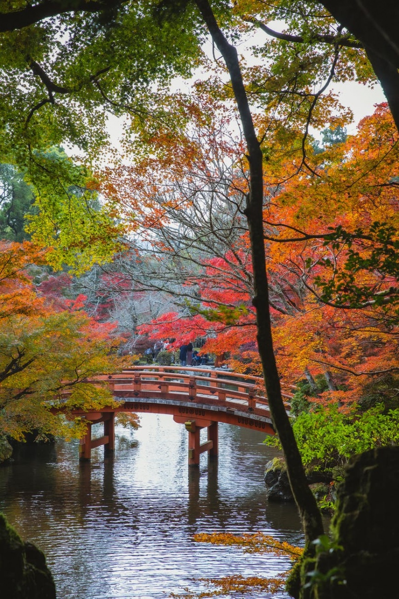 calm river in traditional japanese park