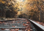 eye level photo of train tracks surrounded with trees